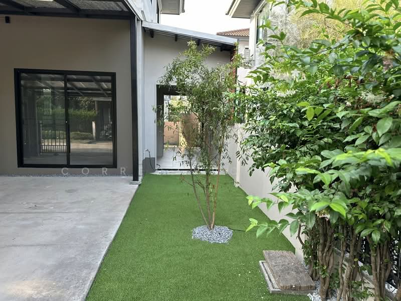 Pave Rangsit-Vibhavadi : เพฟ รังสิต-วิภาวดี, ปทุมธานี, ถนน รังสิต - นครนายก, บึงยี่โถ, ธัญบุรี, ปทุมธานี, 156 ตร.ม., บ้านเดี่ยว ให้เช่า, โดย CorrectProperty, 500248331 - DDproperty.com