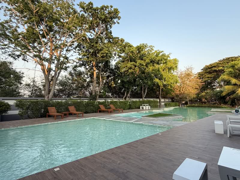 The Serene, Chon Buri (Pattaya), Moo 2, Samed, Muang Chon Buri, Chon Buri (Pattaya), 4 Bedrooms, 250 sqm, Single Detached House For Sale, by Paula ., 500248376 - DDproperty.com