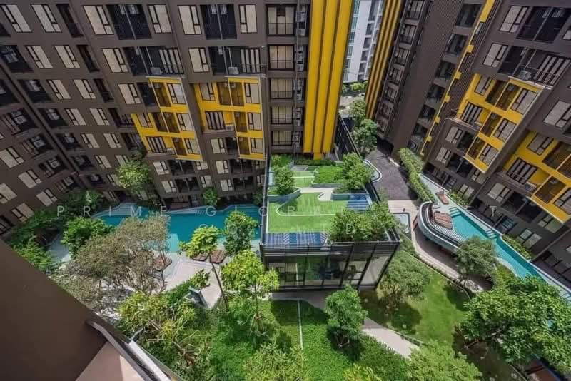 The Base Central, Phuket, Chao Fah Tawan Tok Rd, Wichit, Muang Phuket, Phuket, 1 Bedroom, 28 sqm, Condo For Rent, by Prime Global Asset Co.,Ltd, 500248458 - DDproperty.com
