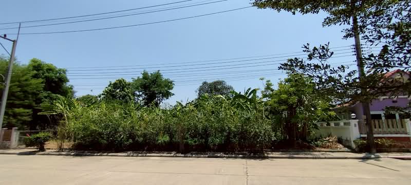 หอมเกร็ด, นครปฐม, หอมเกร็ด, สามพราน, นครปฐม, 836 ตร.ม., ที่ดิน ขาย, โดย ณัสธร ทองไสว, 500248460 - DDproperty.com