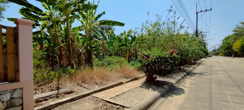 หอมเกร็ด, Nakhon Pathom, Hom Kret, Sam Phran, Nakhon Pathom, , 836 sqm, Land For Sale, by ณัสธร ทองไสว, 500248460 - DDproperty.com