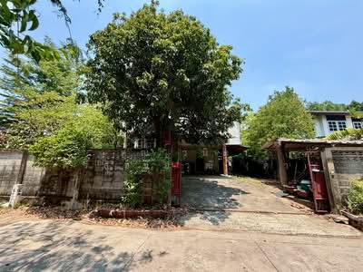 ขาย - บ้านเดี่ยว 3 ชั้น 145 ตร.ว. บ้านเดี่ยว ใกล้เดอะมอลล์งามวงศ์วาน ซอยประชาชื่น42, กรุงเทพ