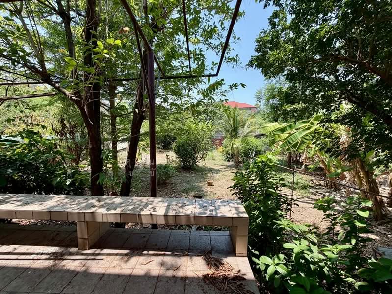 บ้านเดี่ยว 3 ชั้น 145 ตร.ว. บ้านเดี่ยว ใกล้เดอะมอลล์งามวงศ์วาน ซอยประชาชื่น42, กรุงเทพ, ถนนประชาชื่น, วงศ์สว่าง, บางซื่อ, กรุงเทพ, 500 ตร.ม., บ้านเดี่ยว ขาย, โดย คุณ วนิดา ศิริสุขชัยวุฒิ (ดา), 500248532 - DDproperty.com