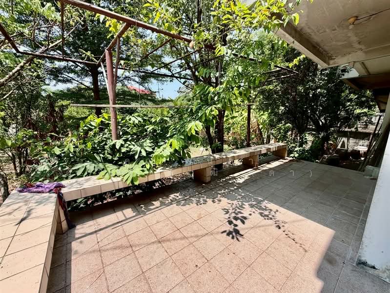 บ้านเดี่ยว 3 ชั้น 145 ตร.ว. บ้านเดี่ยว ใกล้เดอะมอลล์งามวงศ์วาน ซอยประชาชื่น42, Bangkok, ถนนประชาชื่น, Wong Sawang, Bang Sue, Bangkok, 5 Bedrooms, 500 sqm, Single Detached House For Sale, by คุณ วนิดา ศิริสุขชัยวุฒิ (ดา), 500248532 - DDproperty.com