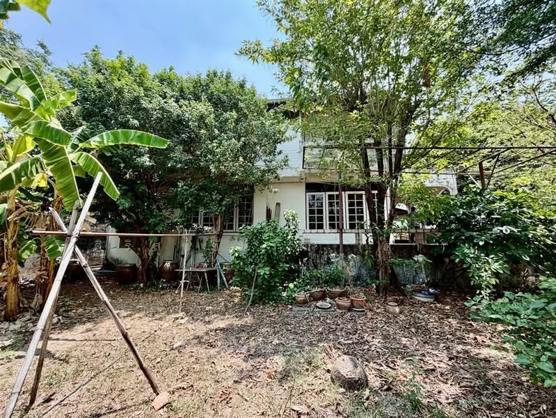 บ้านเดี่ยว 3 ชั้น 145 ตร.ว. บ้านเดี่ยว ใกล้เดอะมอลล์งามวงศ์วาน ซอยประชาชื่น42, Bangkok, ถนนประชาชื่น, Wong Sawang, Bang Sue, Bangkok, 5 Bedrooms, 500 sqm, Single Detached House For Sale, by คุณ วนิดา ศิริสุขชัยวุฒิ (ดา), 500248532 - DDproperty.com