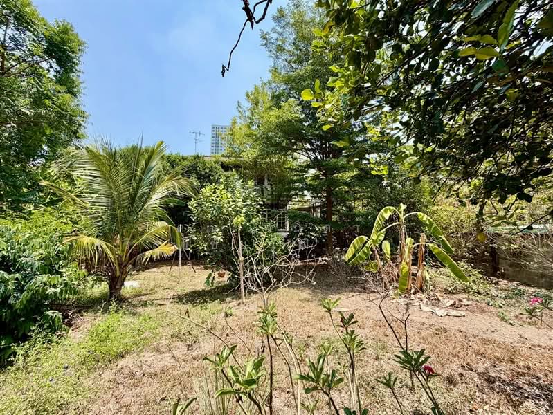 บ้านเดี่ยว 3 ชั้น 145 ตร.ว. บ้านเดี่ยว ใกล้เดอะมอลล์งามวงศ์วาน ซอยประชาชื่น42, กรุงเทพ, ถนนประชาชื่น, วงศ์สว่าง, บางซื่อ, กรุงเทพ, 500 ตร.ม., บ้านเดี่ยว ขาย, โดย คุณ วนิดา ศิริสุขชัยวุฒิ (ดา), 500248532 - DDproperty.com