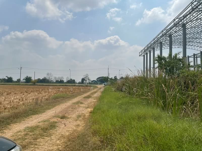 ขาย ที่ดินพร้อมสิ่งปลูกสร้าง เหมาะสำหรับสร้างคลังสินค้า คลอง 14 พืชอุดม ลำลูกกา ปทุมธานี, ปทุมธานี, พืชอุดม, ลำลูกกา, ปทุมธานี, 77,848 ตร.ม., ที่ดิน ขาย, โดย ปภาดา อัครเกียรติภูมิ, 500248570 - DDproperty.com