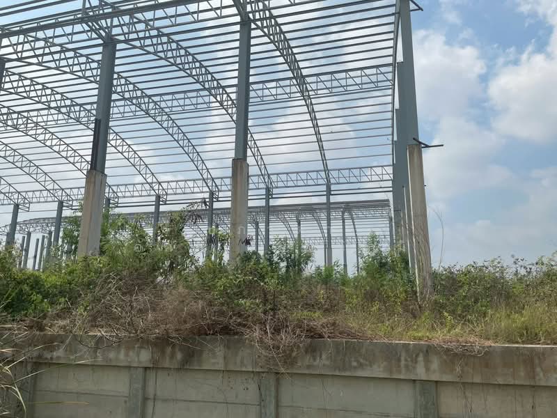 ขาย ที่ดินพร้อมสิ่งปลูกสร้าง เหมาะสำหรับสร้างคลังสินค้า คลอง 14 พืชอุดม ลำลูกกา ปทุมธานี, Pathum Thani, Phut U-dom, Lam Luk Ka, Pathum Thani, , 77,848 sqm, Land For Sale, by ปภาดา อัครเกียรติภูมิ, 500248570 - DDproperty.com