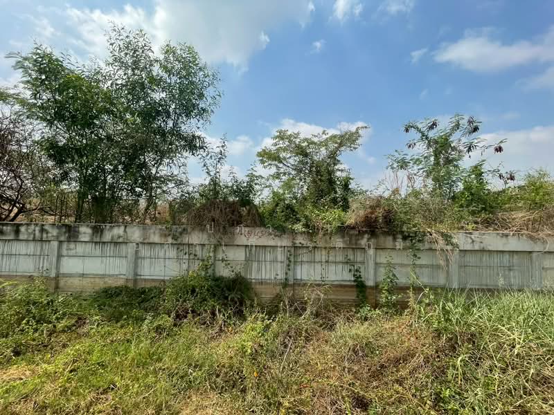 ขาย ที่ดินพร้อมสิ่งปลูกสร้าง เหมาะสำหรับสร้างคลังสินค้า คลอง 14 พืชอุดม ลำลูกกา ปทุมธานี, ปทุมธานี, พืชอุดม, ลำลูกกา, ปทุมธานี, 77,848 ตร.ม., ที่ดิน ขาย, โดย ปภาดา อัครเกียรติภูมิ, 500248570 - DDproperty.com