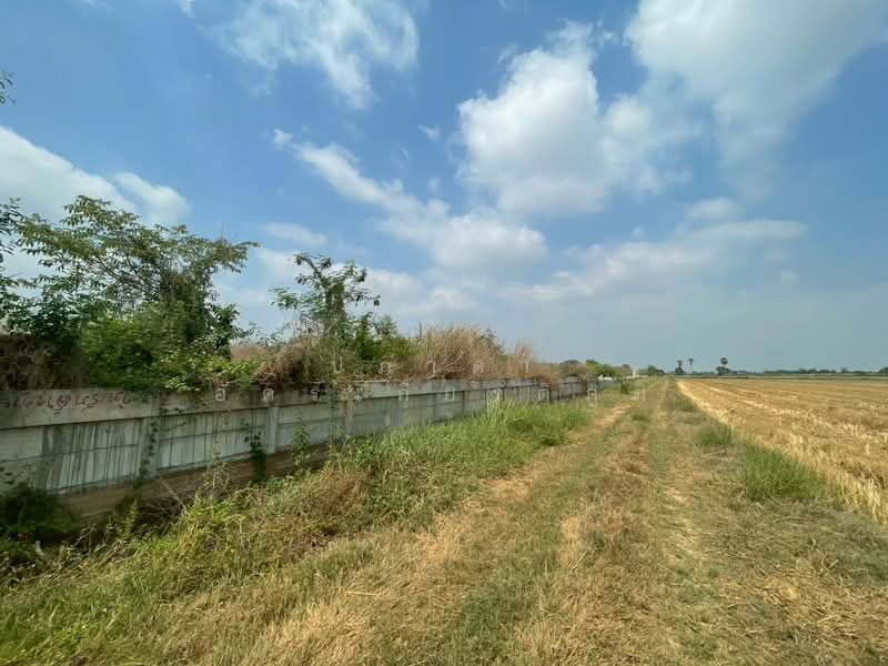 ขาย ที่ดินพร้อมสิ่งปลูกสร้าง เหมาะสำหรับสร้างคลังสินค้า คลอง 14 พืชอุดม ลำลูกกา ปทุมธานี, ปทุมธานี, พืชอุดม, ลำลูกกา, ปทุมธานี, 77,848 ตร.ม., ที่ดิน ขาย, โดย ปภาดา อัครเกียรติภูมิ, 500248570 - DDproperty.com