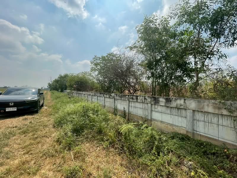 ขาย ที่ดินพร้อมสิ่งปลูกสร้าง เหมาะสำหรับสร้างคลังสินค้า คลอง 14 พืชอุดม ลำลูกกา ปทุมธานี, ปทุมธานี, พืชอุดม, ลำลูกกา, ปทุมธานี, 77,848 ตร.ม., ที่ดิน ขาย, โดย ปภาดา อัครเกียรติภูมิ, 500248570 - DDproperty.com