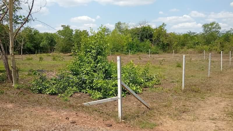 For Sale - ขายที่ดินเปล่า อำเภอเมืองอุดรธานี จังหวัดอุดรธานี, Udon Thani