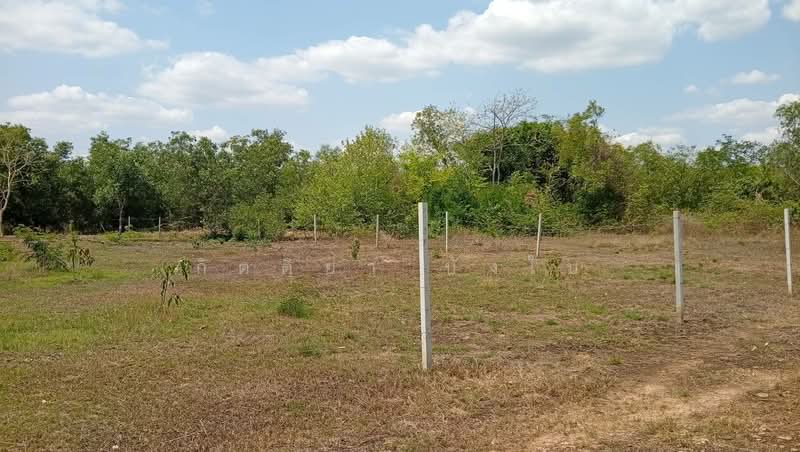 For Sale - ขายที่ดินเปล่า อำเภอเมืองอุดรธานี จังหวัดอุดรธานี, Udon Thani