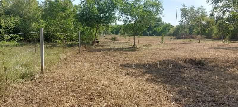 For Sale - ขายที่ดินเปล่า อำเภอเมืองอุดรธานี จังหวัดอุดรธานี, Udon Thani