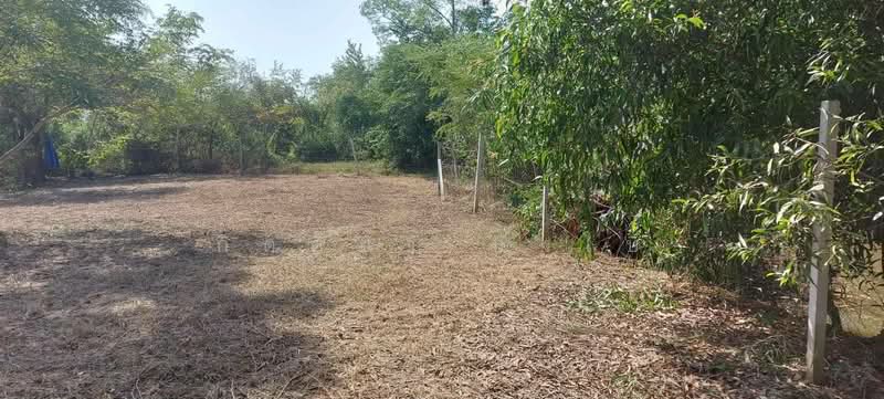 For Sale - ขายที่ดินเปล่า อำเภอเมืองอุดรธานี จังหวัดอุดรธานี, Udon Thani