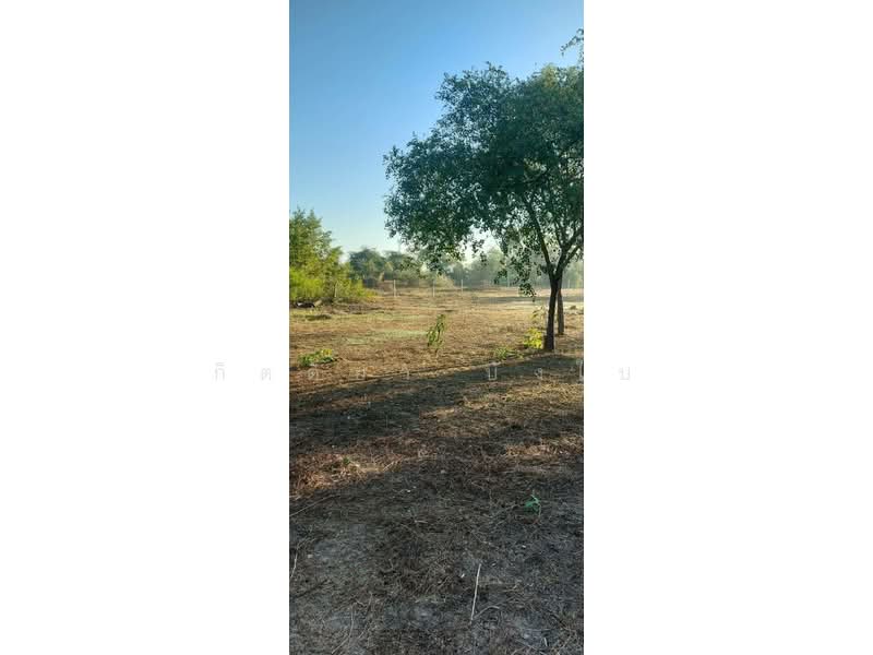 For Sale - ขายที่ดินเปล่า อำเภอเมืองอุดรธานี จังหวัดอุดรธานี, Udon Thani