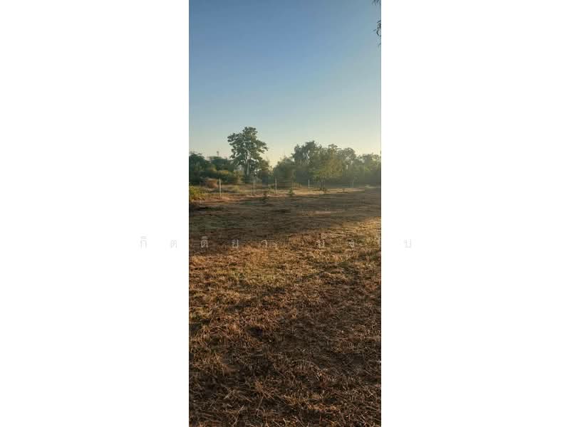 For Sale - ขายที่ดินเปล่า อำเภอเมืองอุดรธานี จังหวัดอุดรธานี, Udon Thani