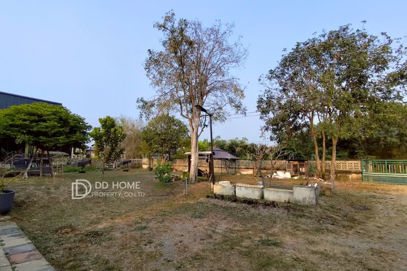 บ้านพูลวิลล่าชั้นเดียวสไตล์โมเดิร์น ซอยวัดลาดปลาดุก, นนทบุรี, หนองเพรางาย, ไทรน้อย, นนทบุรี, 500 ตร.ม., วิลล่า ขาย, โดย ธวินันท์ มิ่งมงคล, 500248634 - DDproperty.com