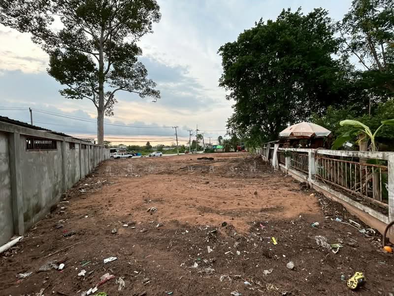 ให้เช่าที่ดิน ทำเลดีติดถนนหลัก หนองไม้แก่น บางละมุง พัทยา, ชลบุรี, หนองปรือ, บางละมุง, ชลบุรี, 1,472 ตร.ม., ที่ดิน ให้เช่า, โดย ดุสิต แสงฟ้า, 500248759 - DDproperty.com