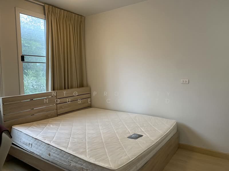 Areeya Daily Kaset-Nawamintr, Bangkok, Ladplakhao Road, Chorake Bua, Lat Phrao, Bangkok, 3 Bedrooms, 168 sqm, Townhouse For Rent, by NTG Property House Co.,Ltd., 500248797 - DDproperty.com