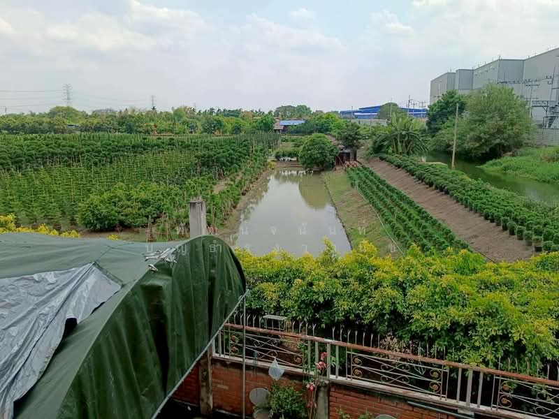 บ้านใหม่, นนทบุรี, บ้านใหม่, บางใหญ่, นนทบุรี, 15,540 ตร.ม., ที่ดิน ขาย, โดย พัฒน์จนันท์ บุญธำรงวานิช, 500248932 - DDproperty.com