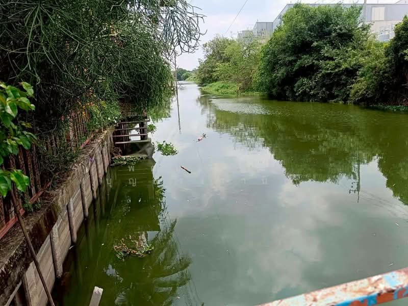 บ้านใหม่, Nonthaburi, Ban Mai, Bang Yai, Nonthaburi, , 15,540 sqm, Land For Sale, by พัฒน์จนันท์ บุญธำรงวานิช, 500248932 - DDproperty.com