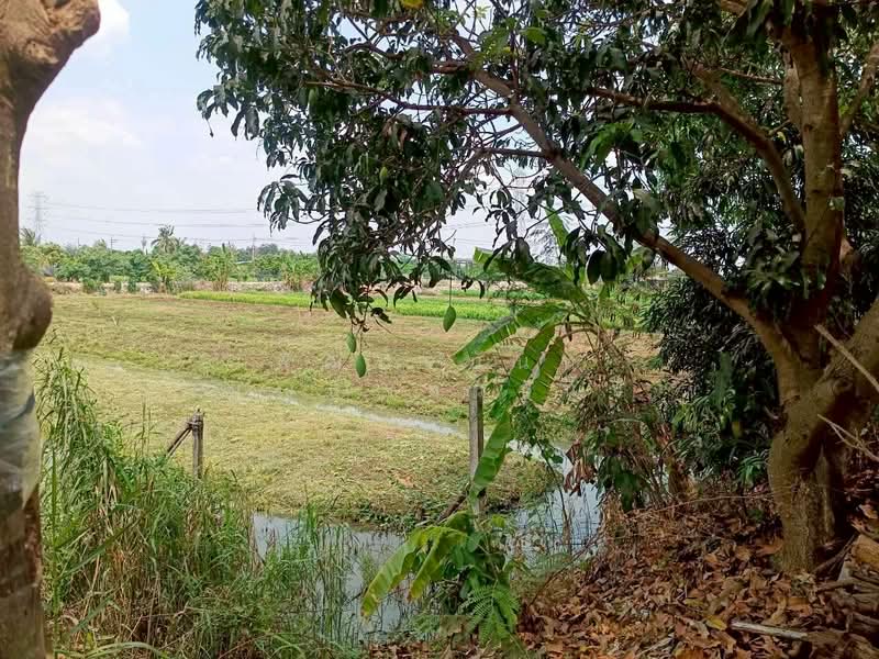 บ้านใหม่, นนทบุรี, บ้านใหม่, บางใหญ่, นนทบุรี, 15,540 ตร.ม., ที่ดิน ขาย, โดย พัฒน์จนันท์ บุญธำรงวานิช, 500248932 - DDproperty.com