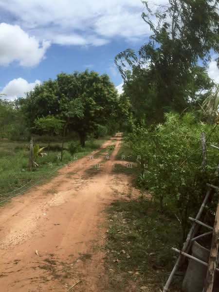 สระนกแก้ว, Roi Et, Sra Nok Kaeo, Phon Thong, Roi Et, , 36,192 sqm, Land For Sale, by พิมพ์จิตตา วิรชญาณันท์, 500248938 - DDproperty.com