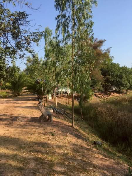 สระนกแก้ว, Roi Et, Sra Nok Kaeo, Phon Thong, Roi Et, , 36,192 sqm, Land For Sale, by พิมพ์จิตตา วิรชญาณันท์, 500248938 - DDproperty.com