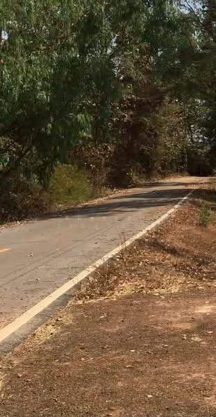 สระนกแก้ว, Roi Et, Sra Nok Kaeo, Phon Thong, Roi Et, , 36,192 sqm, Land For Sale, by พิมพ์จิตตา วิรชญาณันท์, 500248938 - DDproperty.com