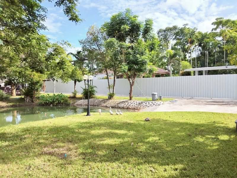 หนองละลอก, Rayong, Nong Lalok, Ban Khai, Rayong, 1 Bedroom, 484 sqm, Single Detached House For Sale, by ลภัสรดา เกี้ยวสันเทียะ, 500248950 - DDproperty.com