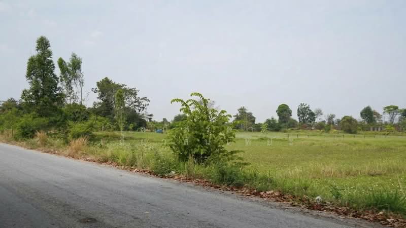 โนนสมบูรณ์, Khon Kaen, Non Som Bun, Ban Haet, Khon Kaen, , 4,668 sqm, Land For Sale, by ลภัสรดา เกี้ยวสันเทียะ, 500248953 - DDproperty.com