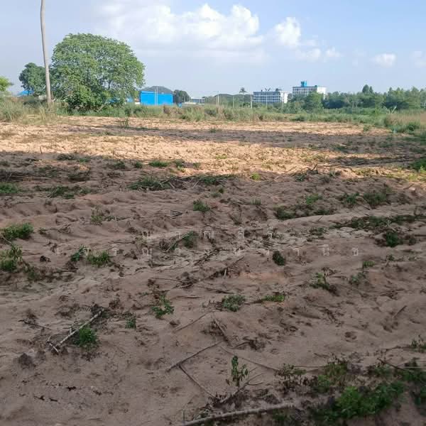 บ่อวิน, Chon Buri (Pattaya), Bo Win, Si Racha, Chon Buri (Pattaya), , 36,036 sqm, Land For Sale, by ญาณ์สิรี เจริญวงษ์วานิช, 500248958 - DDproperty.com