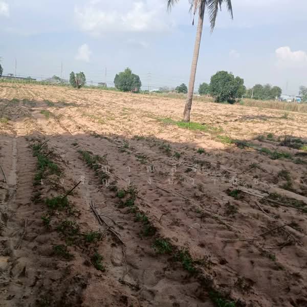 บ่อวิน, Chon Buri (Pattaya), Bo Win, Si Racha, Chon Buri (Pattaya), , 36,036 sqm, Land For Sale, by ญาณ์สิรี เจริญวงษ์วานิช, 500248958 - DDproperty.com