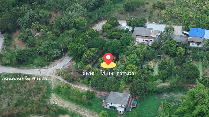 บางพลับ, นนทบุรี, บางพลับ, ปากเกร็ด, นนทบุรี, 1,956 ตร.ม., ที่ดิน ขาย, โดย ขายที่ดิน บางพลับ ปากเกร็ด 1 ไร่ 89 ตร.วา 30,000/ตร.วา ใกล้ราชพฤกษ์ 2 กม., 500248994 - DDproperty.com