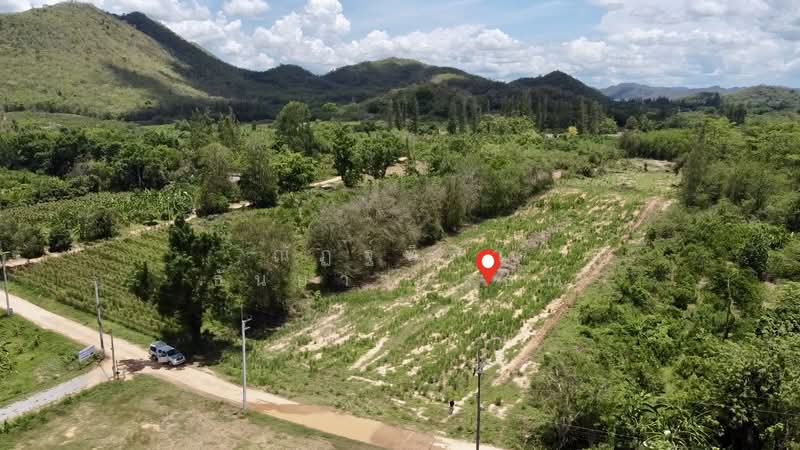 ขาย - ตำบลสองพี่น้อง อำเภอแก่งกระจาน จังหวัดเพชรบุรี, เพชรบุรี