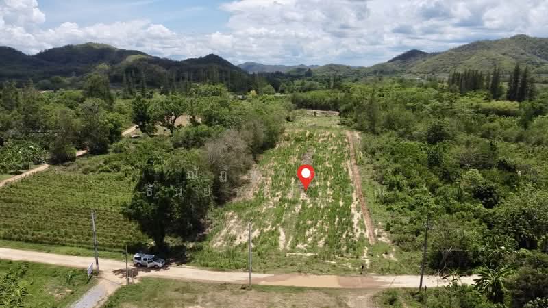ตำบลสองพี่น้อง อำเภอแก่งกระจาน จังหวัดเพชรบุรี, Phetchaburi, Song Phi Nong, Kaeng Krachan, Phetchaburi, , 10,768 sqm, Land For Sale, by Nattipha Thanyawat, 500249036 - DDproperty.com