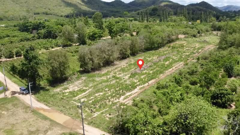 ตำบลสองพี่น้อง อำเภอแก่งกระจาน จังหวัดเพชรบุรี, Phetchaburi, Song Phi Nong, Kaeng Krachan, Phetchaburi, , 10,768 sqm, Land For Sale, by Nattipha Thanyawat, 500249036 - DDproperty.com