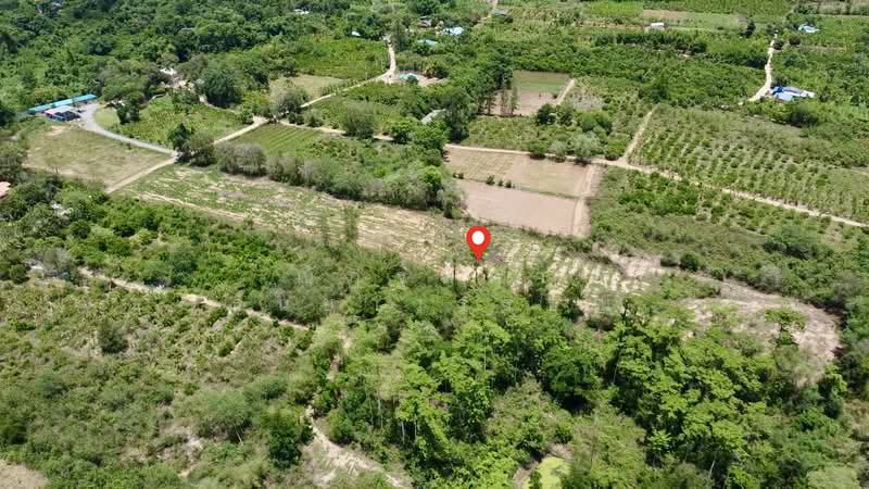 ตำบลสองพี่น้อง อำเภอแก่งกระจาน จังหวัดเพชรบุรี, Phetchaburi, Song Phi Nong, Kaeng Krachan, Phetchaburi, , 10,768 sqm, Land For Sale, by Nattipha Thanyawat, 500249036 - DDproperty.com