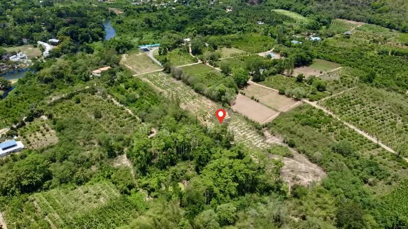 ตำบลสองพี่น้อง อำเภอแก่งกระจาน จังหวัดเพชรบุรี, Phetchaburi, Song Phi Nong, Kaeng Krachan, Phetchaburi, , 10,768 sqm, Land For Sale, by Nattipha Thanyawat, 500249036 - DDproperty.com