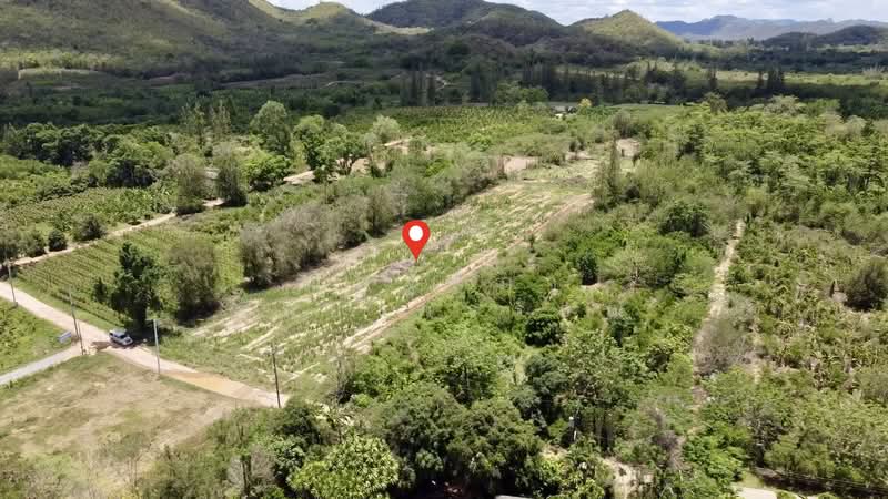 ตำบลสองพี่น้อง อำเภอแก่งกระจาน จังหวัดเพชรบุรี, Phetchaburi, Song Phi Nong, Kaeng Krachan, Phetchaburi, , 10,768 sqm, Land For Sale, by Nattipha Thanyawat, 500249036 - DDproperty.com