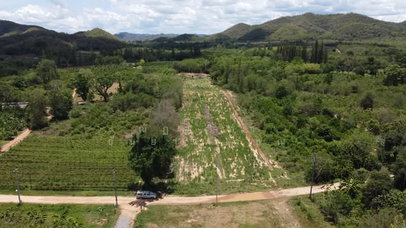 ตำบลสองพี่น้อง อำเภอแก่งกระจาน จังหวัดเพชรบุรี, Phetchaburi, Song Phi Nong, Kaeng Krachan, Phetchaburi, , 10,768 sqm, Land For Sale, by Nattipha Thanyawat, 500249036 - DDproperty.com