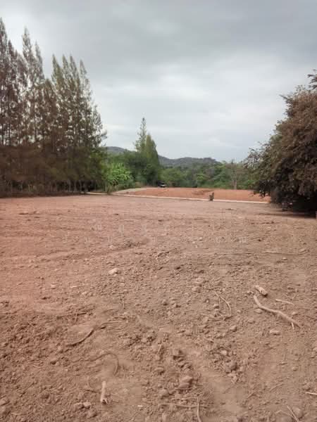 ตำบลสองพี่น้อง อำเภอแก่งกระจาน จังหวัดเพชรบุรี, Phetchaburi, Song Phi Nong, Kaeng Krachan, Phetchaburi, , 10,768 sqm, Land For Sale, by Nattipha Thanyawat, 500249036 - DDproperty.com