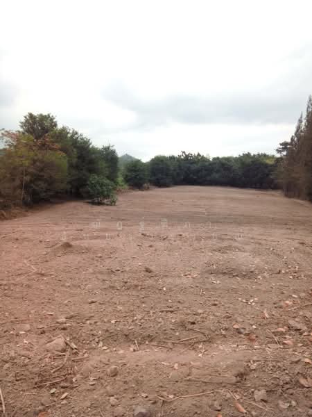 ตำบลสองพี่น้อง อำเภอแก่งกระจาน จังหวัดเพชรบุรี, Phetchaburi, Song Phi Nong, Kaeng Krachan, Phetchaburi, , 10,768 sqm, Land For Sale, by Nattipha Thanyawat, 500249036 - DDproperty.com