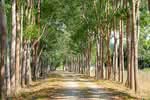ที่ดินรีสอร์ท 20 ไร่ หรือ ที่ดินส่วนตัว, กาญจนบุรี