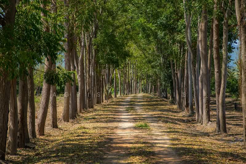 ขาย - ที่ดินรีสอร์ท 20 ไร่ หรือ ที่ดินส่วนตัว, กาญจนบุรี