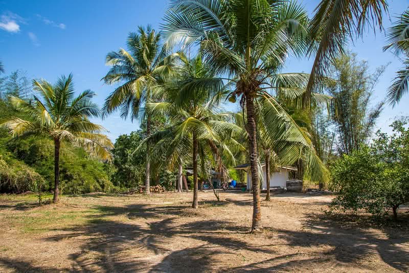 20 Rai Resort or Private Land, Kanchanaburi, Ban Khao, Muang Kanchanaburi, Kanchanaburi, , 32,000 sqm, Land For Sale, by Agris Alksnis, 500249091 - DDproperty.com