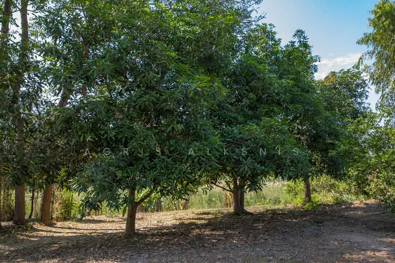 20 Rai Resort or Private Land, Kanchanaburi, Ban Khao, Muang Kanchanaburi, Kanchanaburi, , 32,000 sqm, Land For Sale, by Agris Alksnis, 500249091 - DDproperty.com