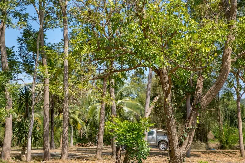 20 Rai Resort or Private Land, Kanchanaburi, Ban Khao, Muang Kanchanaburi, Kanchanaburi, , 32,000 sqm, Land For Sale, by Agris Alksnis, 500249091 - DDproperty.com