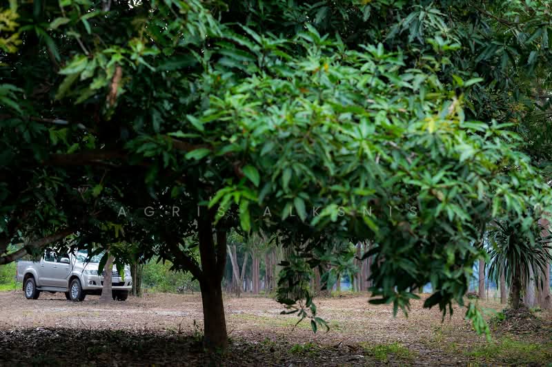 ขาย - ที่ดินรีสอร์ท 20 ไร่ หรือ ที่ดินส่วนตัว, กาญจนบุรี